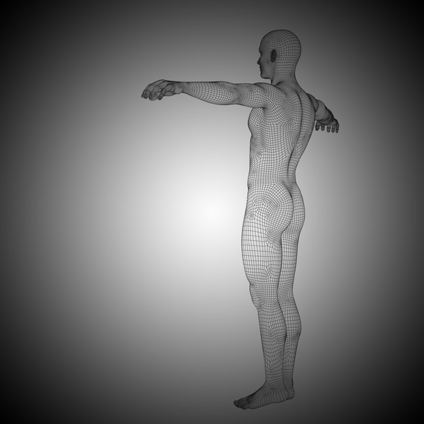 conceptual  man anatomy - Photo, Image