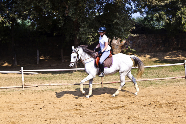 женщина-всадник тренирует лошадь в верховой езде
 - Фото, изображение