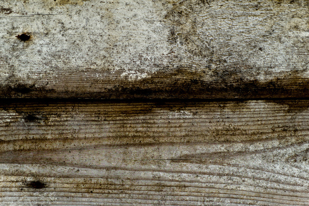 Sfondo texture legno con motivo naturale - Foto, immagini