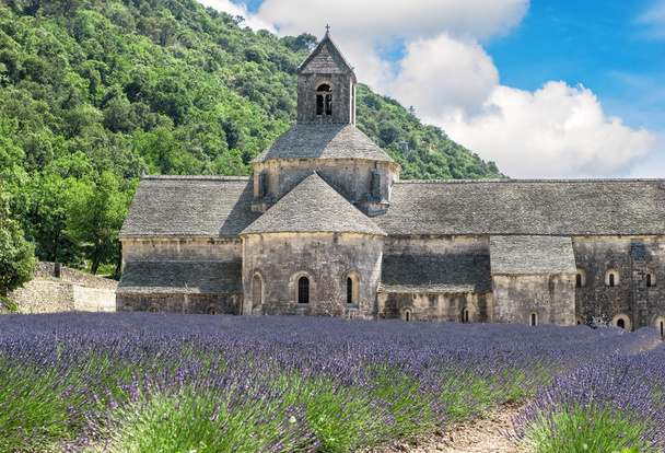 Lavendelfeld in der Provence, Frankreich. wunderschöne Landschaft mit med. - Foto, Bild