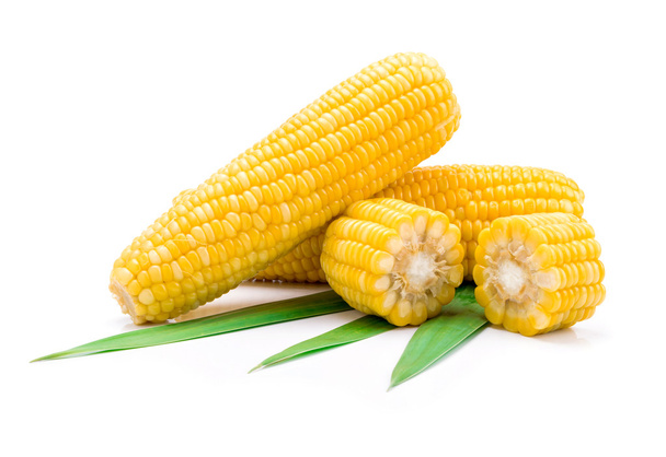kukuřice  - Fotografie, Obrázek