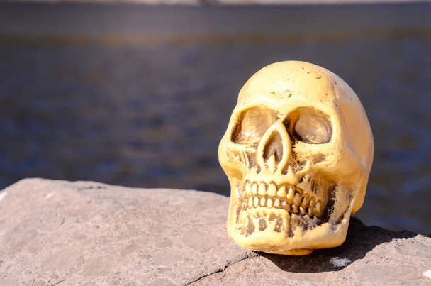 Opuszczony czaszki człowieka - Zdjęcie, obraz