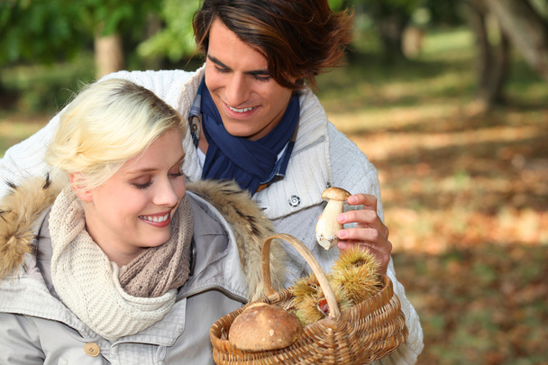 Couple collecting mushrooms - Photo, Image
