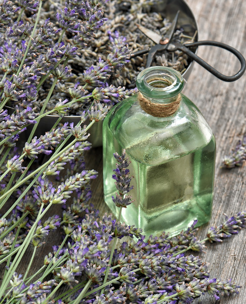 Dreied lavender flowers with herbal oil and scissors. Homeopathi - Foto, Imagen