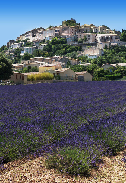 lavenders mező, és a falu - Fotó, kép