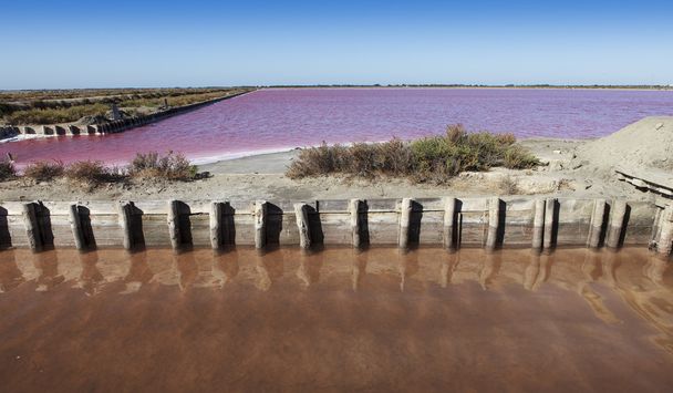 pantanos de sal
 - Foto, imagen
