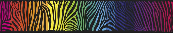 Sfondo con la pelle Zebra nei colori arcobaleno
 - Vettoriali, immagini