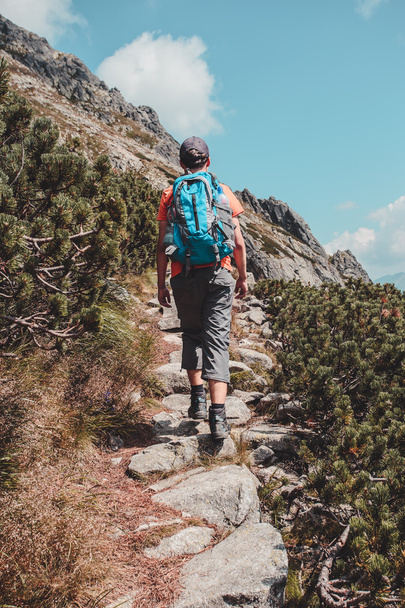 Boy hiking alone in the mountains - Фото, зображення