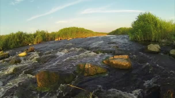 rwący rzeki - Materiał filmowy, wideo