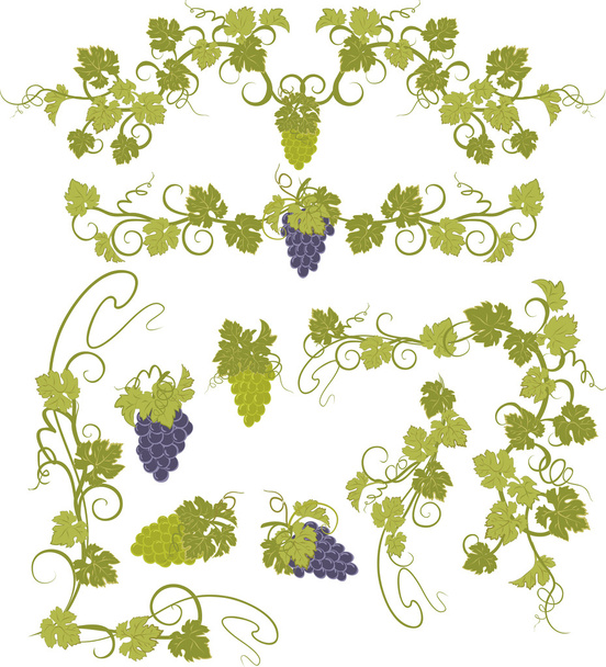 Vector design elements in vintage style with vines. - Vector, Image