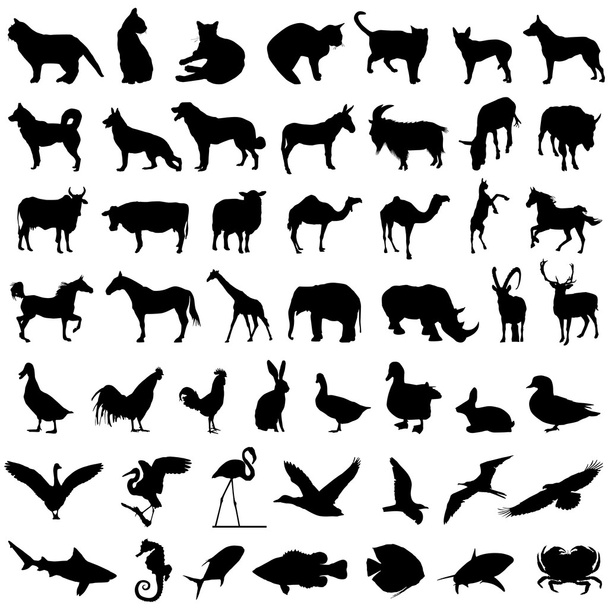 50 állat készlet - Vektor, kép