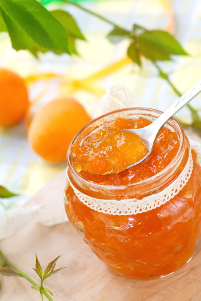 Apricot jam and  Fresh apricots - Photo, Image