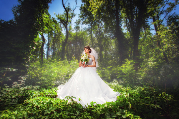 Bride in forest - Foto, Bild