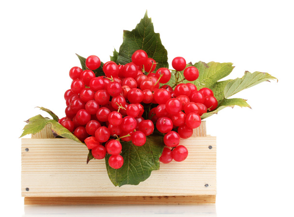 Red berries of viburnum in wooden box isolated on white - Zdjęcie, obraz