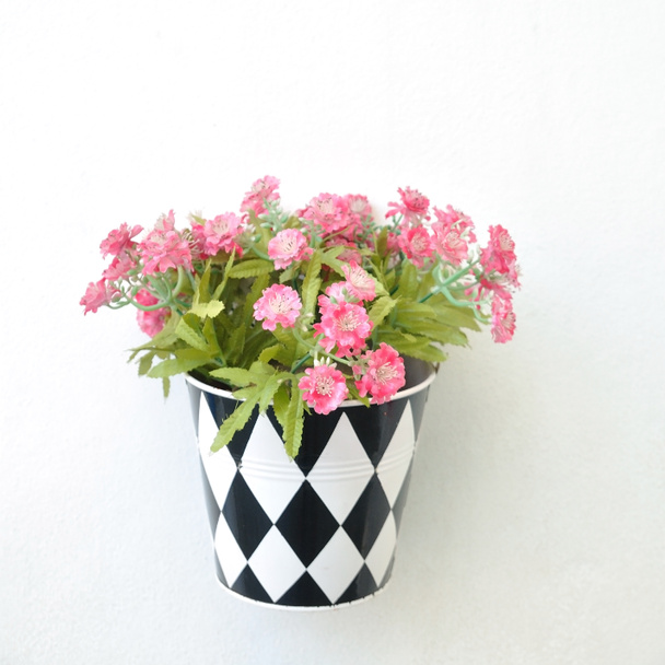Flower pot hanging on wall - Photo, Image