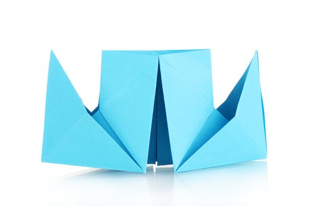 Origami paper steamer isolated on white - Foto, immagini