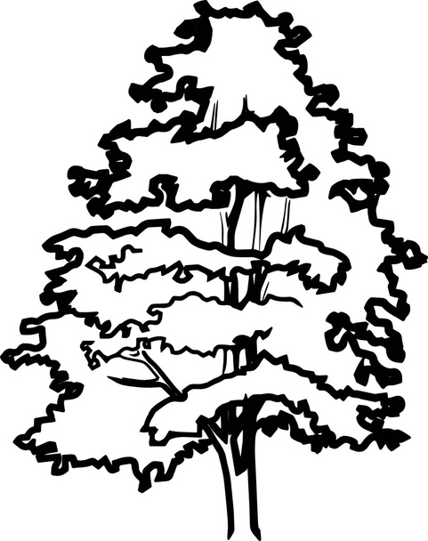 Pine silhouet vector - Vector, afbeelding