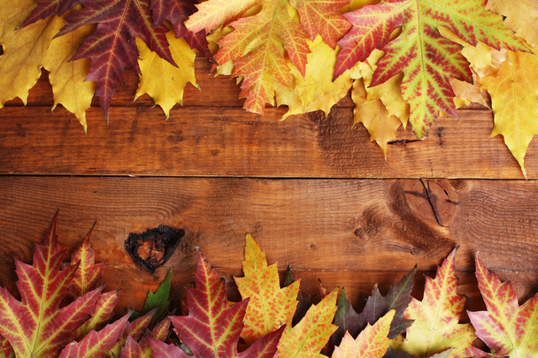 Vivid autumn maple leaves on wooden background - Photo, Image