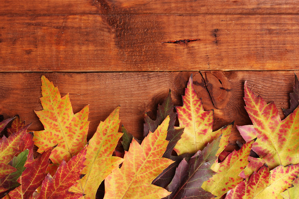 ostré podzimní Javorové listy na dřevěné pozadí - Fotografie, Obrázek