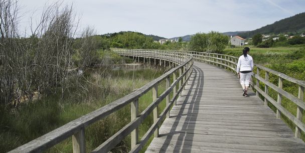  деревянный пешеходный мост
 - Фото, изображение