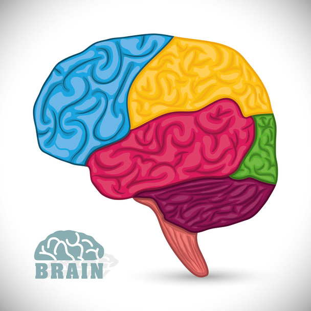 Human brain design. - Vector, Image