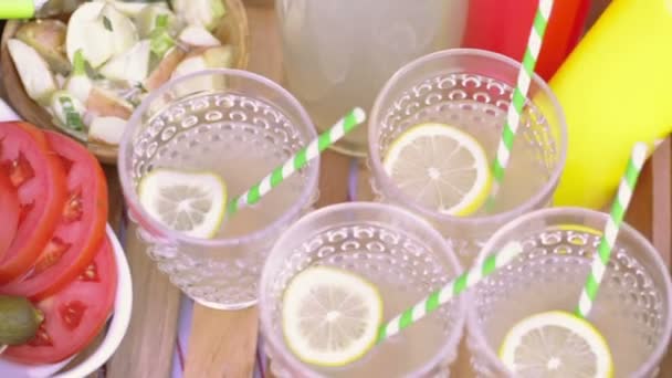 Pequeño picnic de verano con limonada
 - Metraje, vídeo