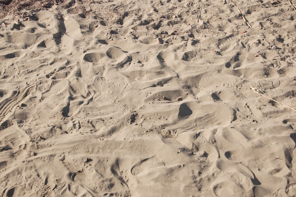 Footprints in sand. - Фото, изображение
