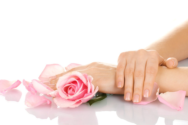 Pink rose with hands on white background - Valokuva, kuva