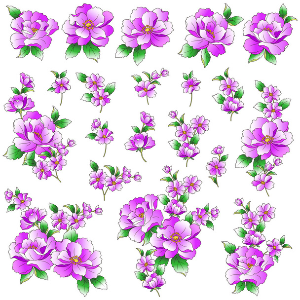 Oggetto illustrazione fiore
 - Vettoriali, immagini