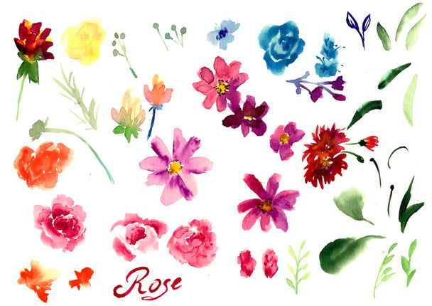 Watercolor flowers against white background - Foto, imagen