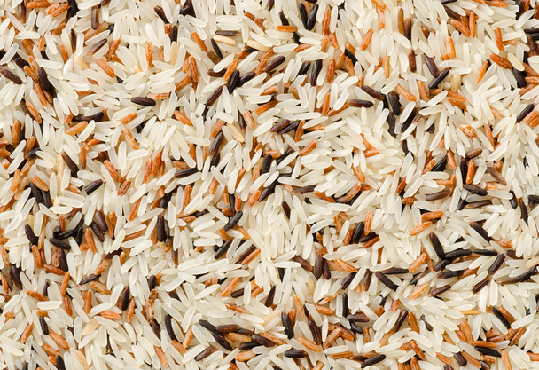 detail of uncooked mix rice grains background  - Фото, зображення
