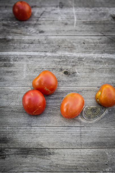 child harvest fresh bio tomato - Foto, Bild