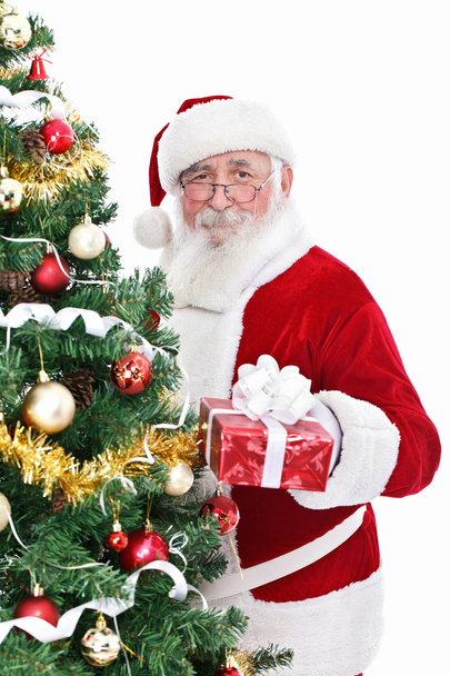 Smiling Santa with present - Foto, Imagem