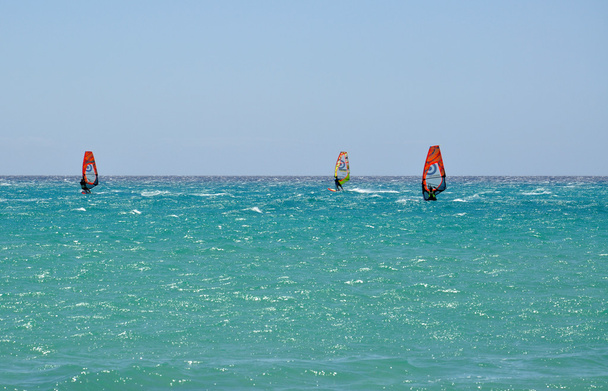 コスタ ・ カルマのフェルテベントゥラ島のサーフィン - 写真・画像