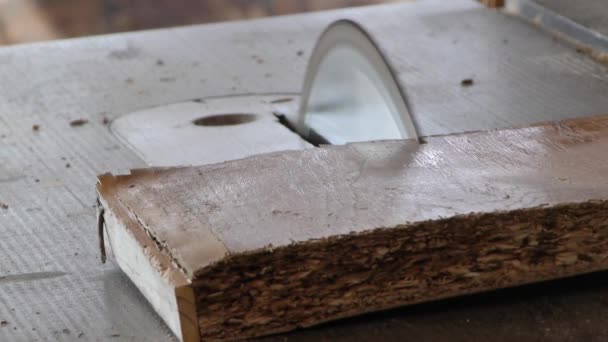 Ξυλουργός κομμένα το ξύλο - Πλάνα, βίντεο