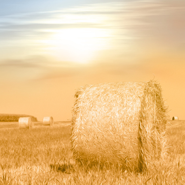 Summer field with hay bales in warm evening sunlight - photo with soft oil paint filter - autumn concept - Photo, Image