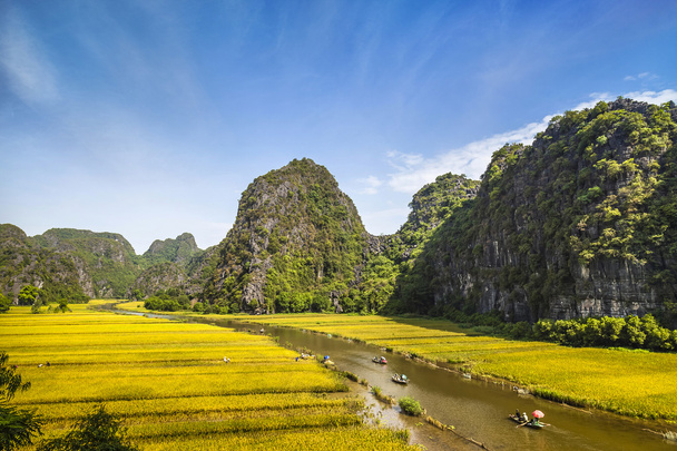 Rýžové pole a řeka v Tamcoc, Ninhbinh, Vietnam - Fotografie, Obrázek