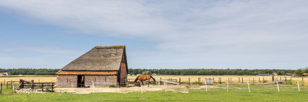 Sheep barn on the wadden island Texel in the Netherlands - Photo, Image