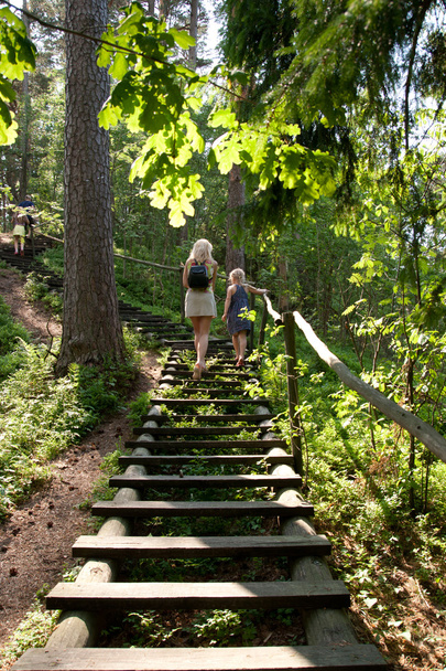 Forest stairs - Photo, Image