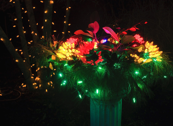 Luces florales de Navidad
 - Foto, Imagen