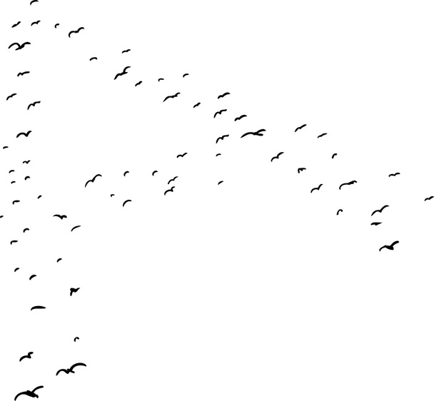 Ptak formacji w A - Wektor, obraz