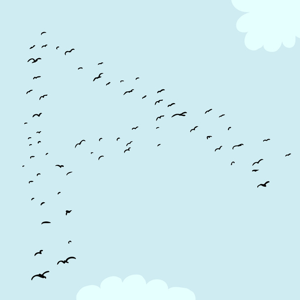 Bird Formation In A - Vector, Image
