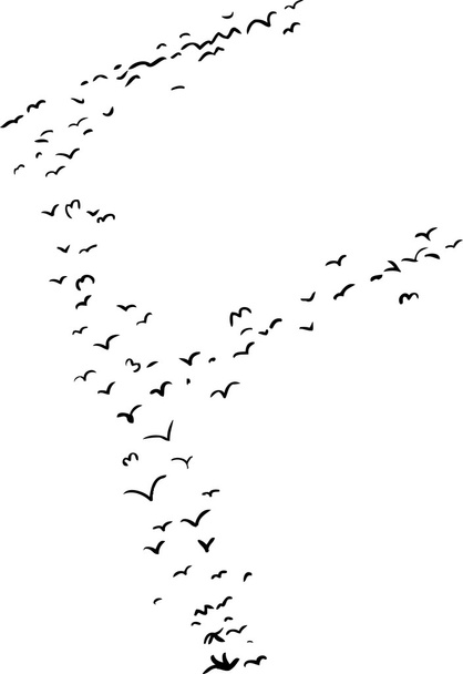 Vogelbildung in f - Vektor, Bild