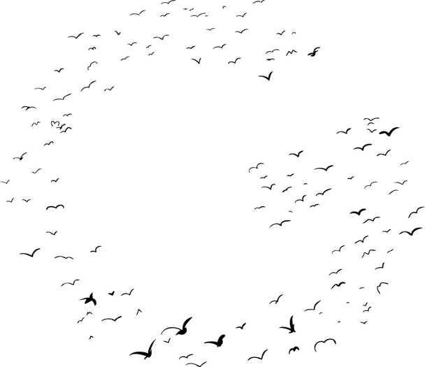 Formação de pássaros em G
 - Vetor, Imagem