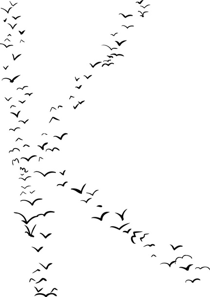 Lintujen muodostuminen K:ssa
 - Vektori, kuva
