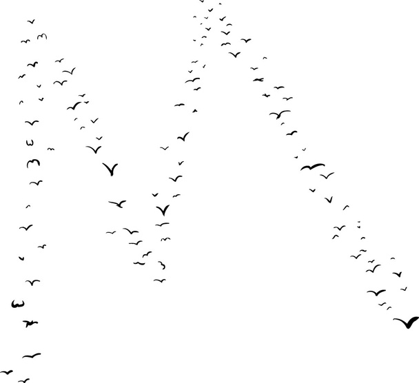 Bird Formation In M - Vector, Image