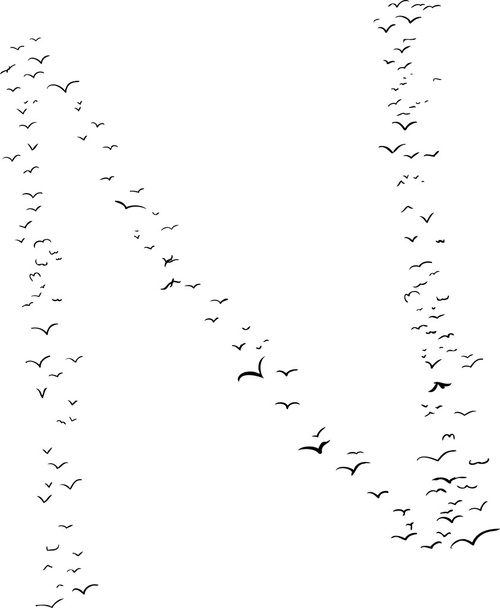 Bird Formation In N - Vector, Image
