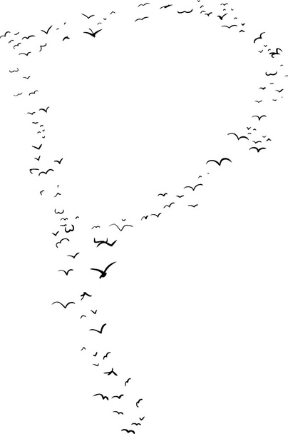 Pták formace v P - Vektor, obrázek