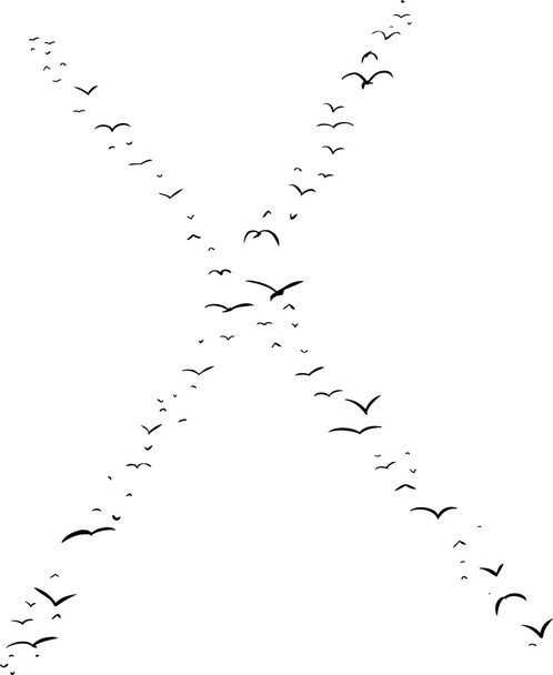 Pták formace v X - Vektor, obrázek