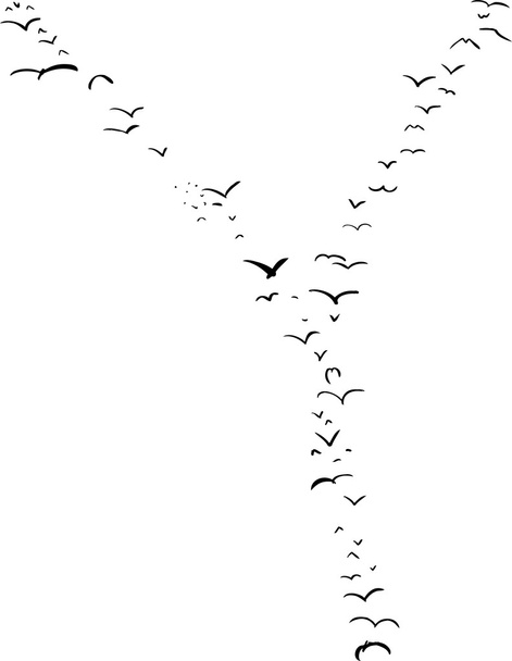 Pták formace v Y - Vektor, obrázek